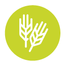 Logo Land- und Forstwirtschaft